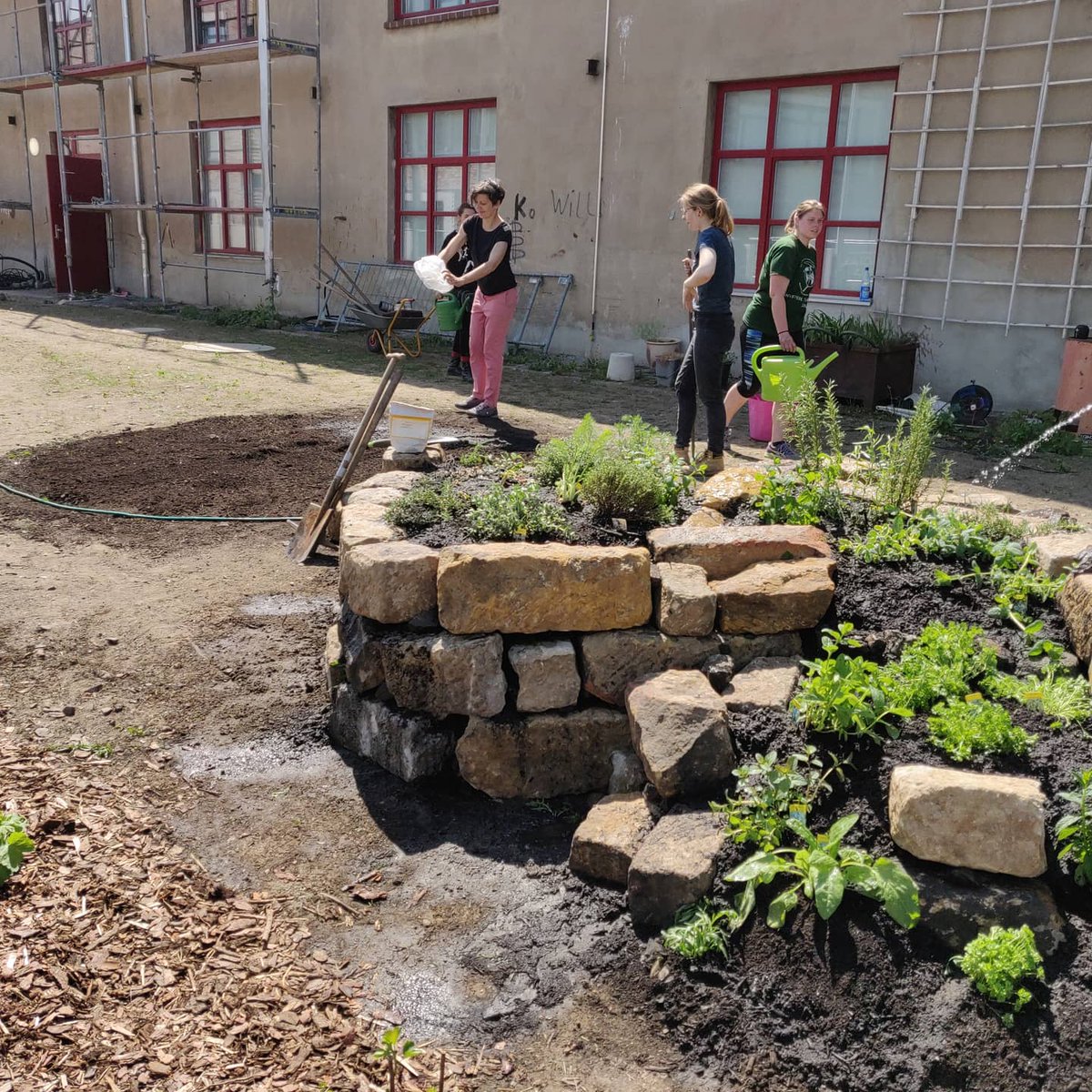 Stadtgaerten's tweet photo. Zauberhaft an der #GEH8 #ZSDD https://t.co/prtrFu1G8G