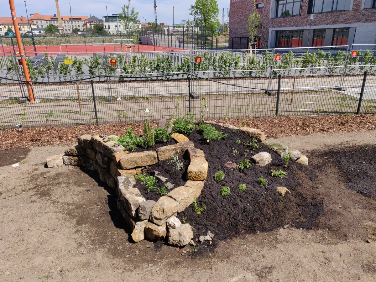 Stadtgaerten's tweet photo. Zauberhaft an der #GEH8 #ZSDD https://t.co/prtrFu1G8G