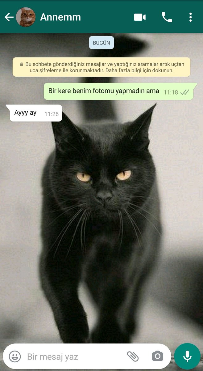 hicedogru's tweet photo. Bir gün yine çok kıskancım ama... https://t.co/29QY4xeosi
