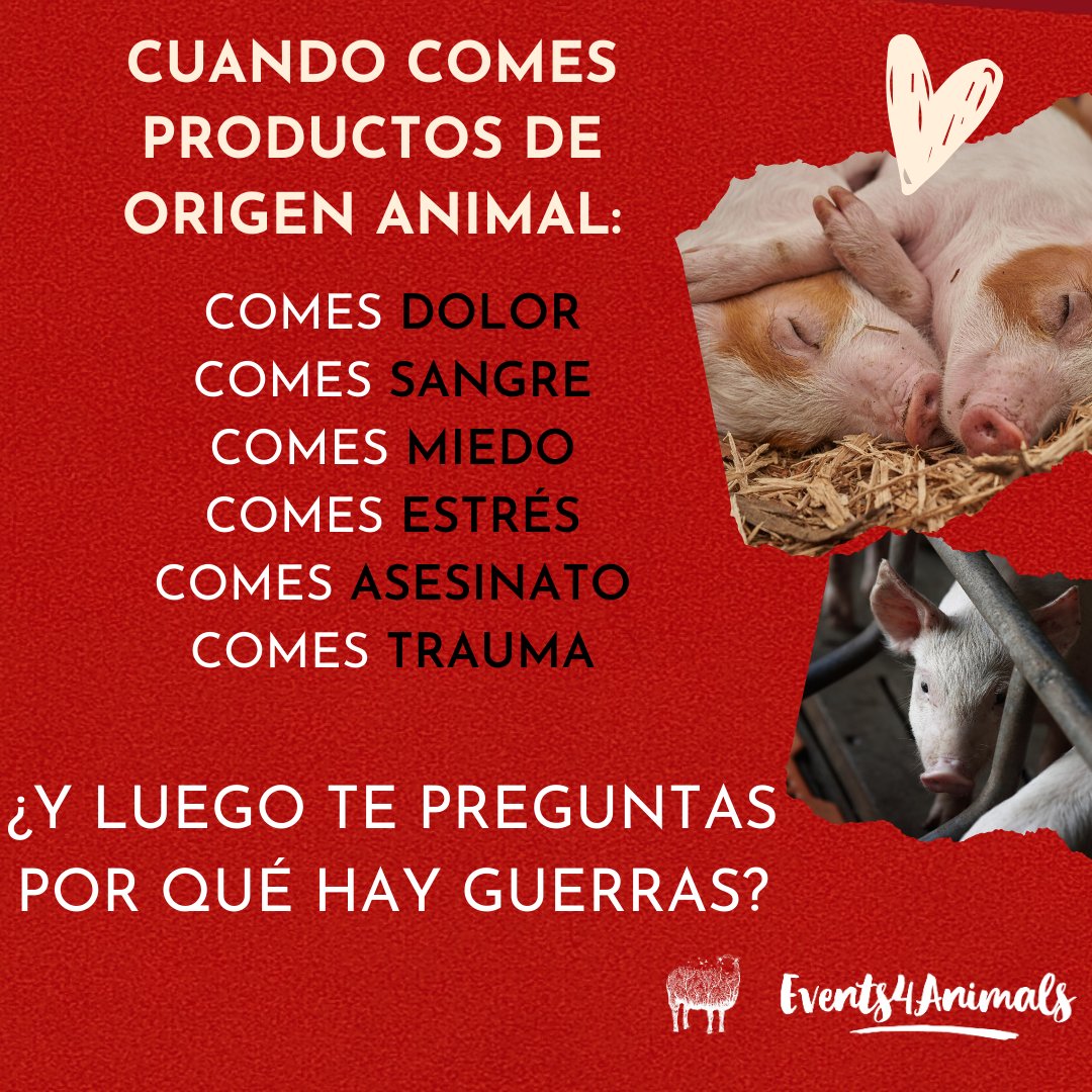 Events4Animals's tweet image. Cuando comes productos de origen animal.. ¿de verdad deseas esto?

🐷🐮🦌🐑🐐🐥🦆🐟🦀🐔
Que lo que no sea bueno para tus ojos tampoco lo es para tu estómago.

Hazte vegano, sino sabes por donde empezar, escríbenos  a info@events4animals.org y te ayudaremos.
