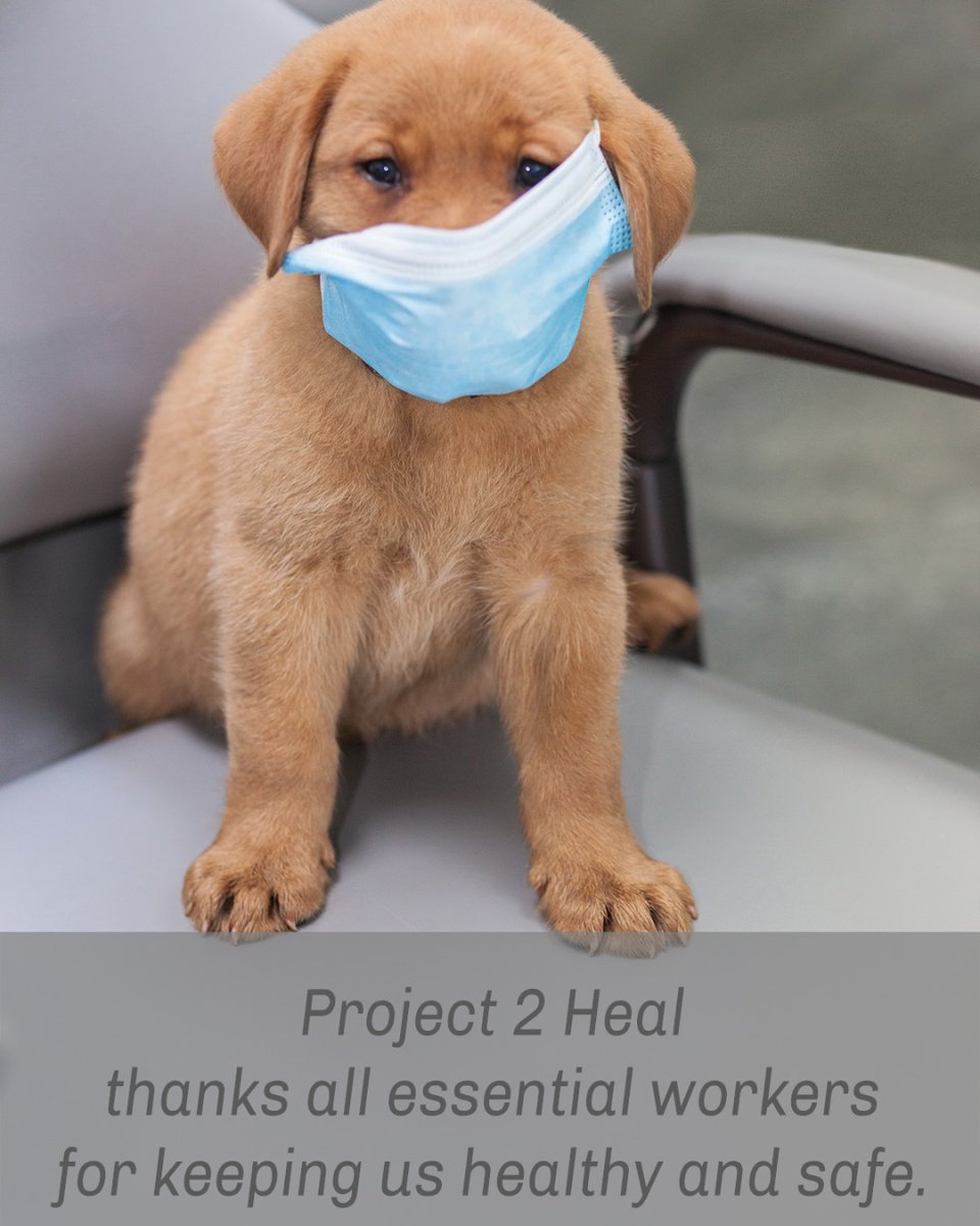 project2healnc's tweet photo. We want to thank all the essential workers for keeping us healthy and safe.
#inthistogether #makeadifference #essentialworkersrock https://t.co/zTRwzN9qK3