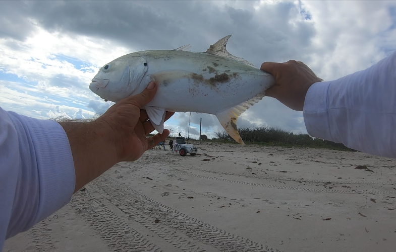 east_surf's tweet photo. ๐ฃ Florida Fishing Reports ๐ Week of 5-4-2020 #Florida #Eastcoast #Surffishing #Fishingreports #Anglers #Fishreports https://t.co/cC4hav3Ctt https://t.co/i5MtMes2nL