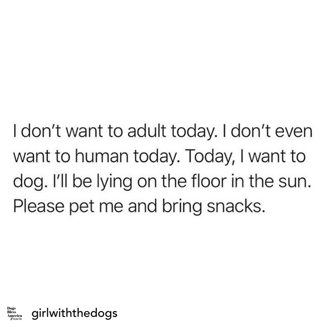 VetGirlOnTheRun's tweet photo. Just bring me snacks!!
#vetttech #vetmed #veterinary #vetgirl https://t.co/0LiAnKEDBE