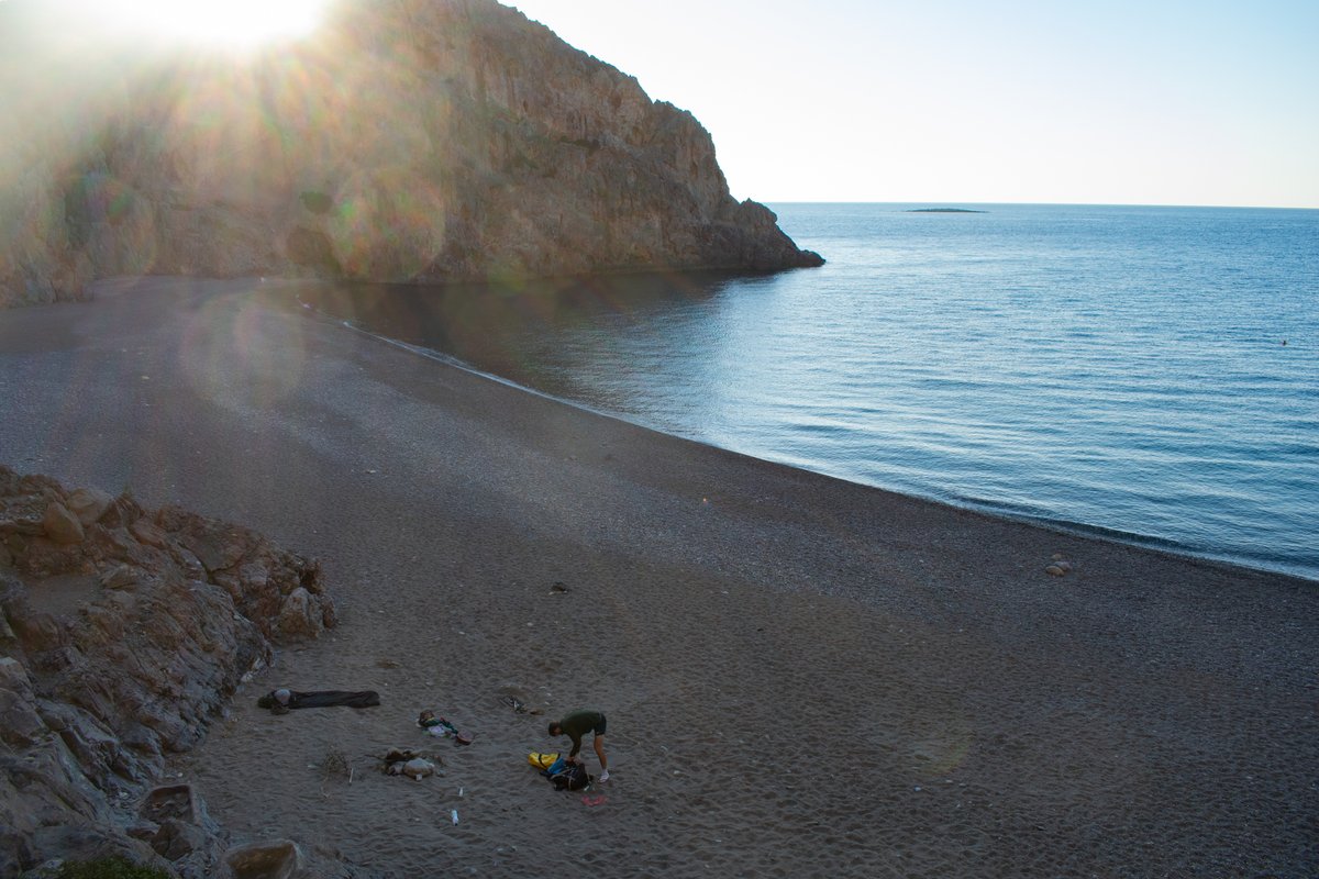 WildGuideGreece tweet picture