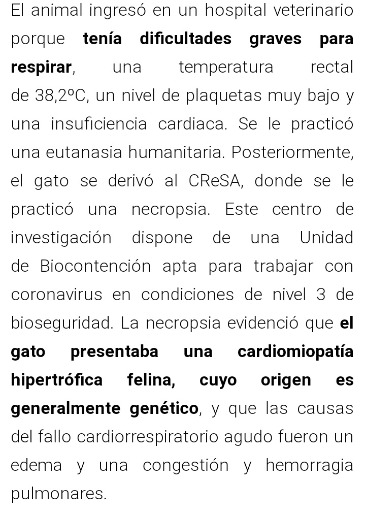Sandy6191's tweet photo. Los que estáis montando un drama por el caso de Negrito, ¿podéis informaros bien antes, por favor? 
Fuente: https://t.co/7tvFqQZi4W https://t.co/xTCtzMa6Br
