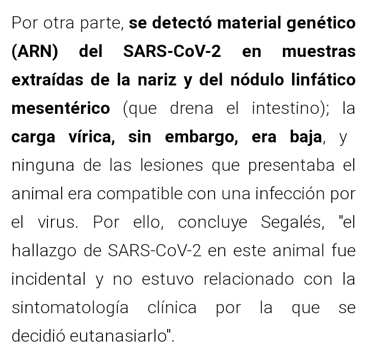 Sandy6191's tweet photo. Los que estáis montando un drama por el caso de Negrito, ¿podéis informaros bien antes, por favor? 
Fuente: https://t.co/7tvFqQZi4W https://t.co/xTCtzMa6Br