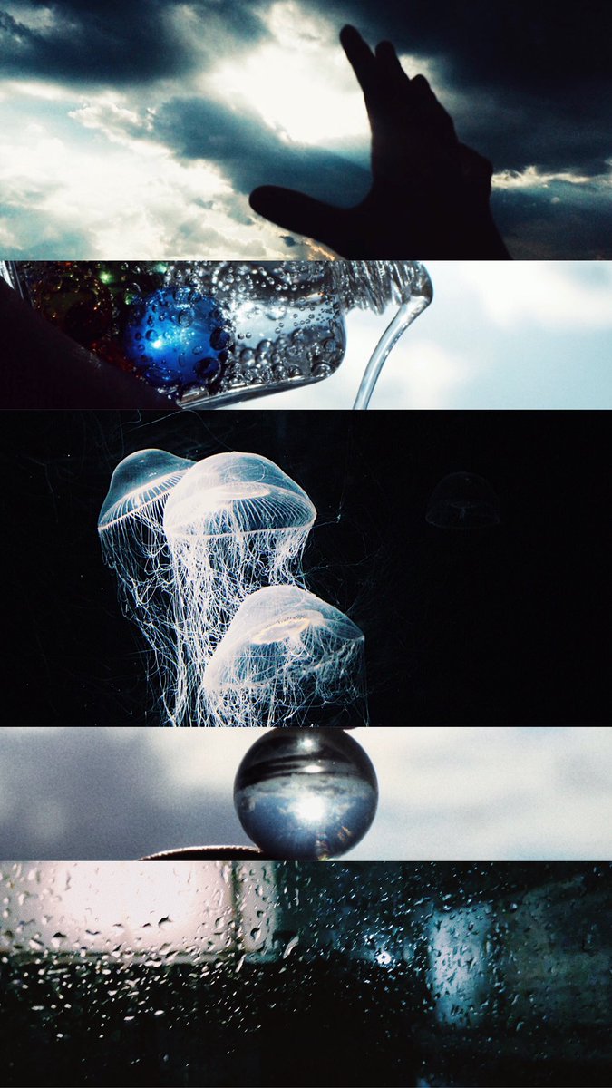 natume_photo__'s tweet photo. 初めて作った組写真今じゃもう作れないと思う、今でも凄く好き https://t.co/qkb32wia2r