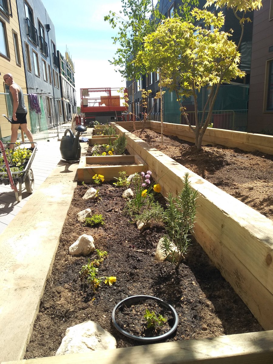 CituUK's tweet photo. The fruits of the community's labour. 

There's fresh herbs growing for everyone. https://t.co/3eh3HeIcxF