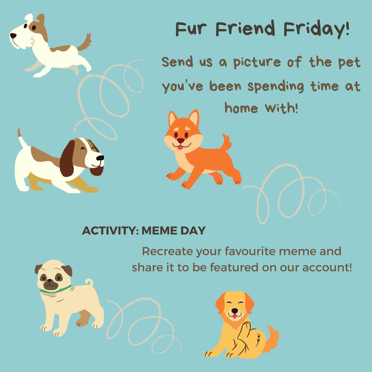 HNHKnightsLife's tweet photo. Let’s end our spirit week off strong with Fur Friend Friday!🐶🐱 Show us the pets you’ve been staying at home with! Today is also Meme Day, so don’t forget to dress up as your favourite meme and share pictures with us! https://t.co/DFeIND1alk