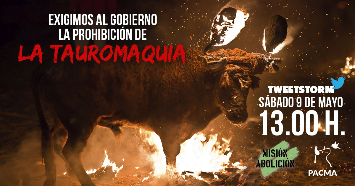 PartidoPACMA's tweet photo. 🤳¡EMPEZAMOS! 💪💪

✊ Únete a nuestra Tweetstorm tuiteando desde ahora con el hashtag #MisiónAbolición para exigir al Gobierno la prohibición de la tauromaquia. https://t.co/zfHcz7uU6s