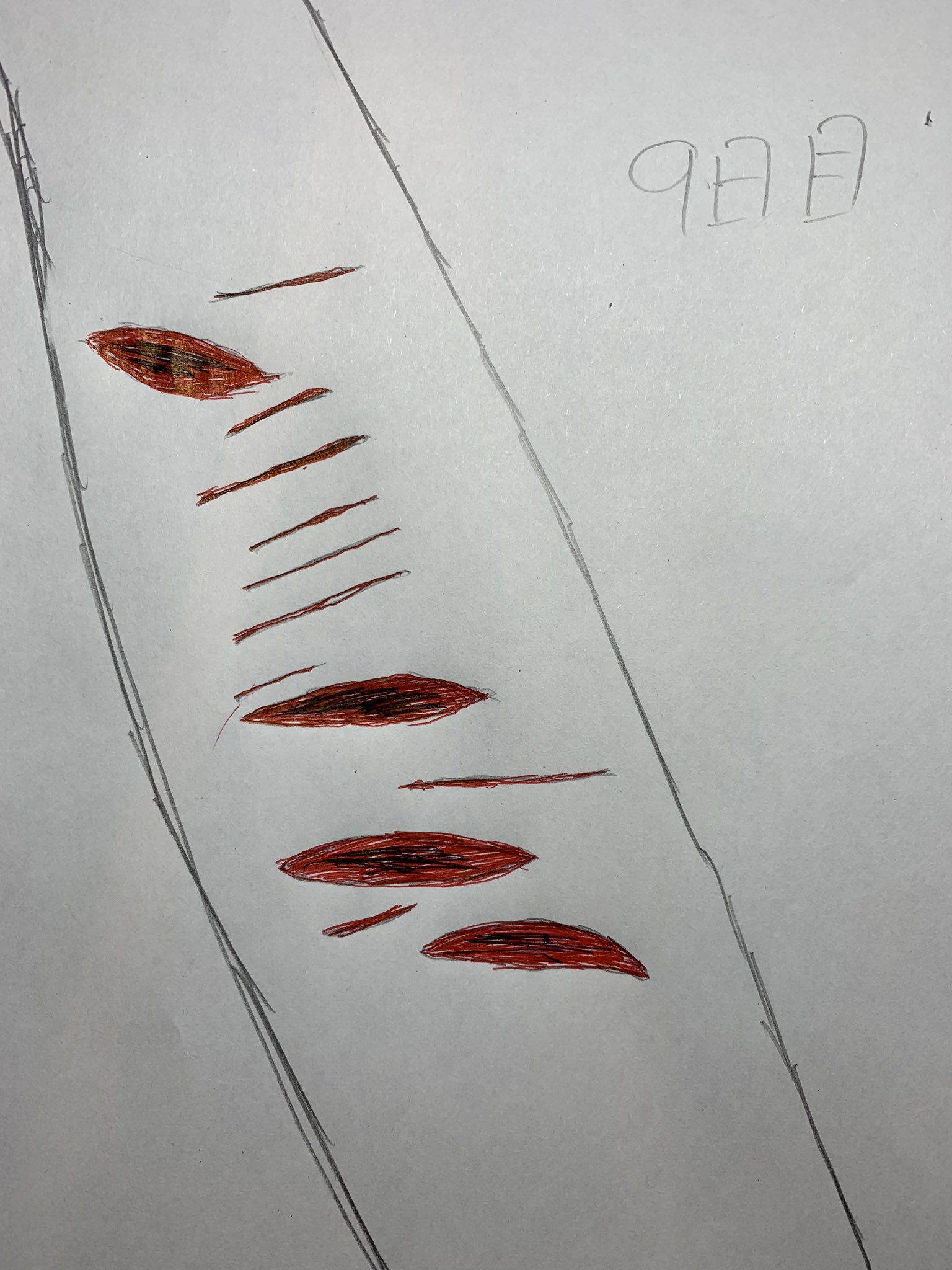 Twitter 上的 あ 100日後にリスカする腕 9日目 リスカ リスカ絵 絵 イラスト 病みイラスト T Co 49ggvka4ke Twitter