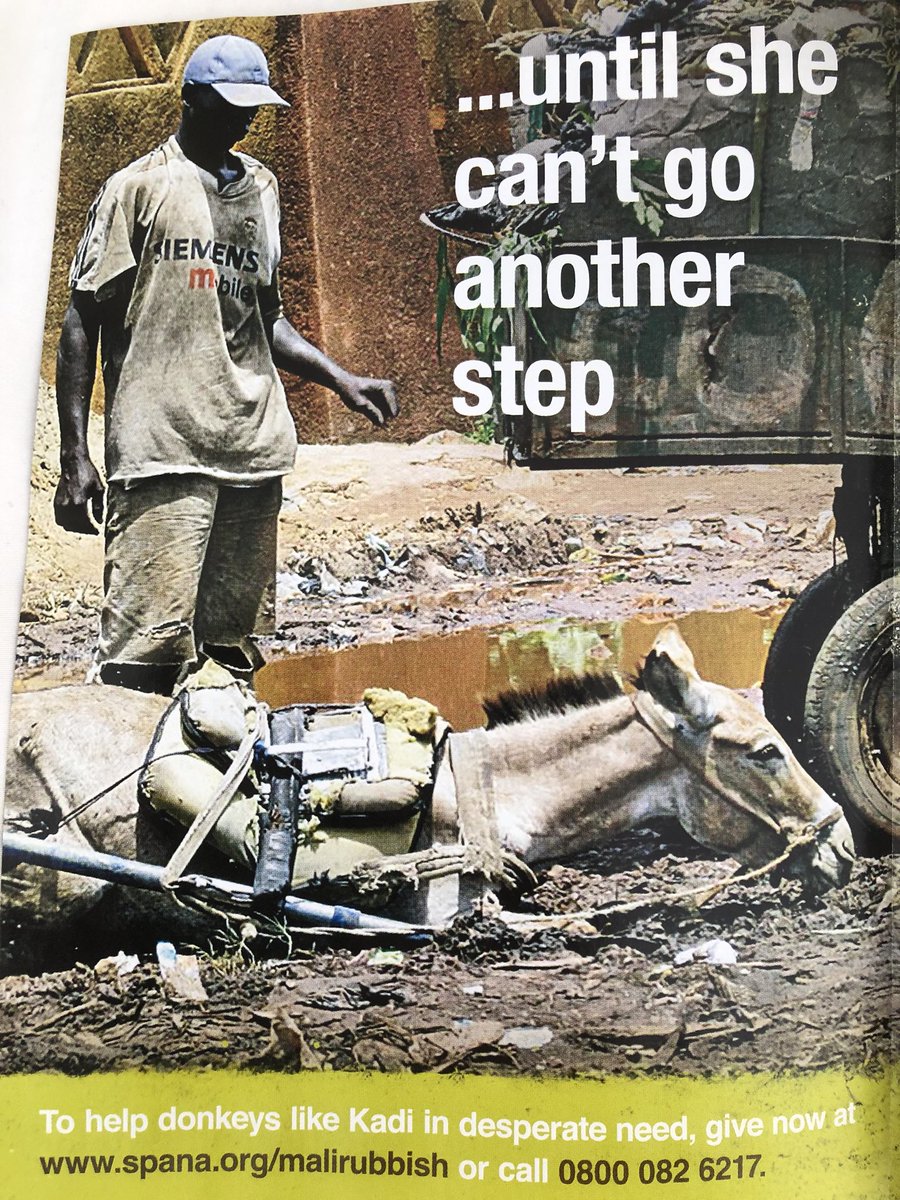 PurplePot_'s tweet photo. This cruel treatment of working animals has been highlighted by @SPANAcharity 
I wonder if a giant company the size of Siemens knows it’s brand is inadvertently pictured too ? 
@Siemens
@siemens_press https://t.co/YMPypjHbY9