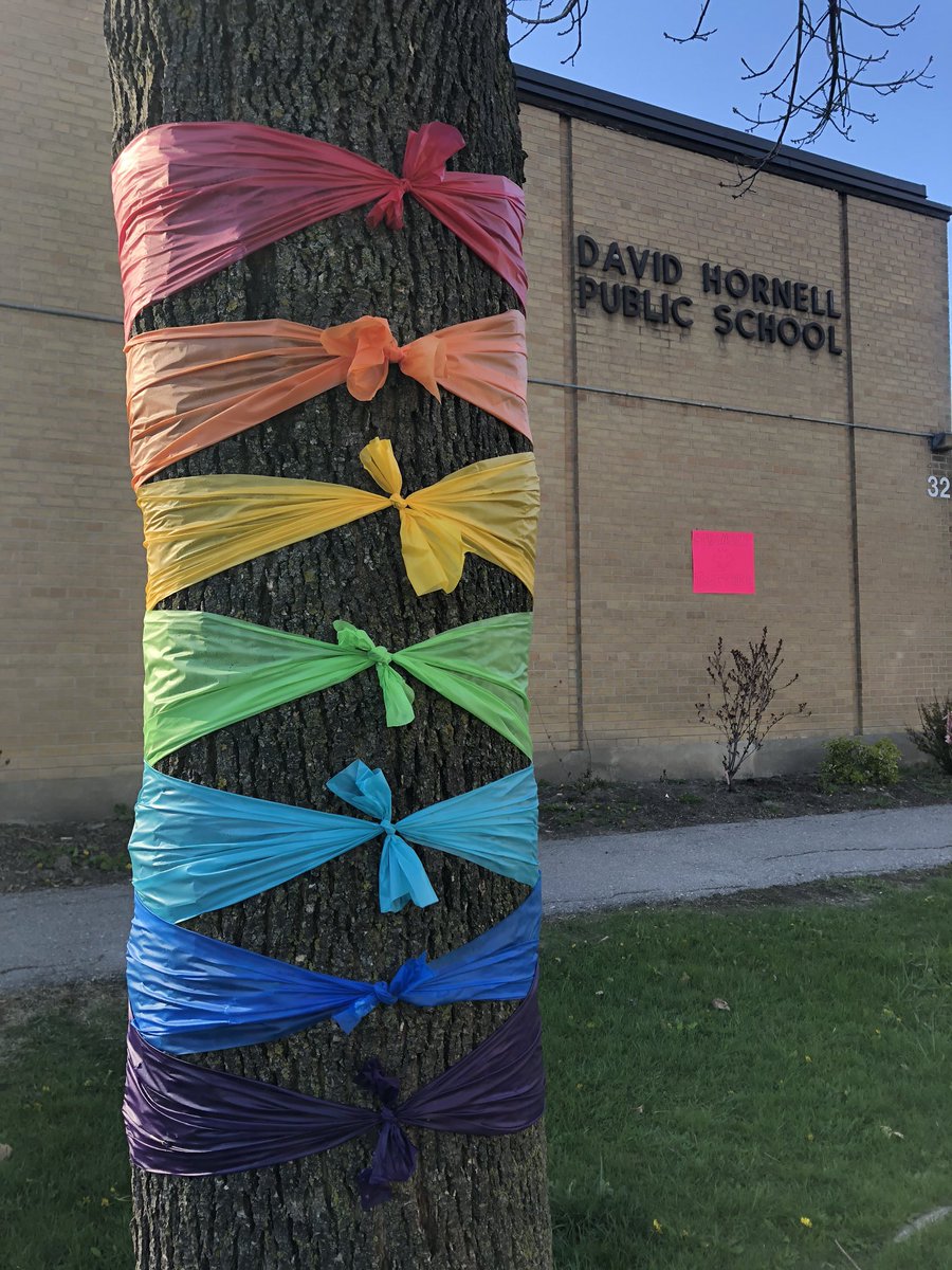 MimicoCreek's tweet photo. @EtobicokeF @lynromanko @TorontoRivers @blogTO More colourful bows at David Hornell Public School in Mimico #Etobicoke #rainbowtrees https://t.co/m5OO7vFrnC