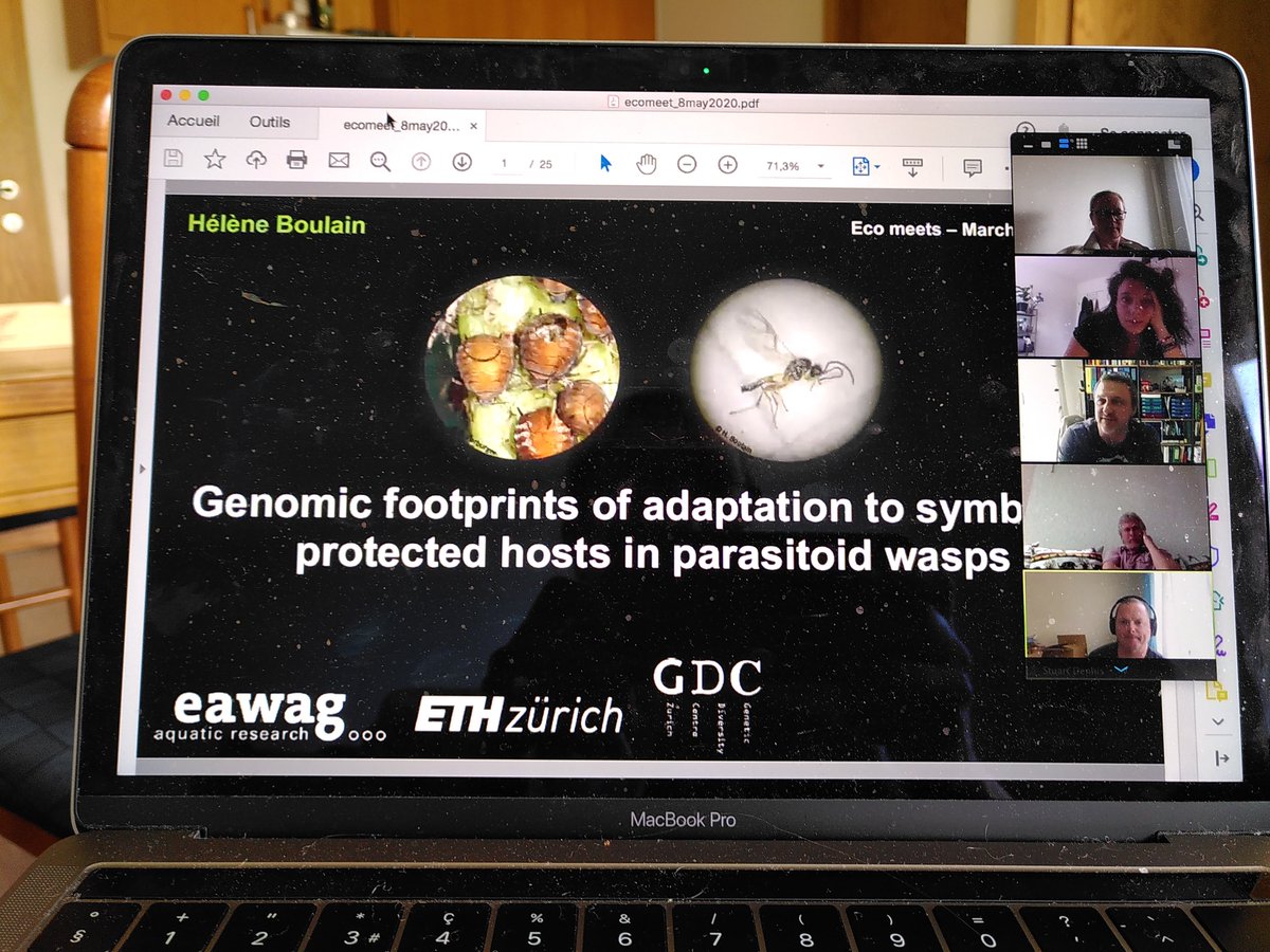 Many science corners covered within 3hrs: After listening to @fishyomics in Iceland, I virtually jumped to Switzerland to hear about #ScienceImpactsPolicy by @altermatt_lab and #genomics of #parasitoid wasps by Helene Boulain at our weekly departmental meets #Eco @EawagResearch
