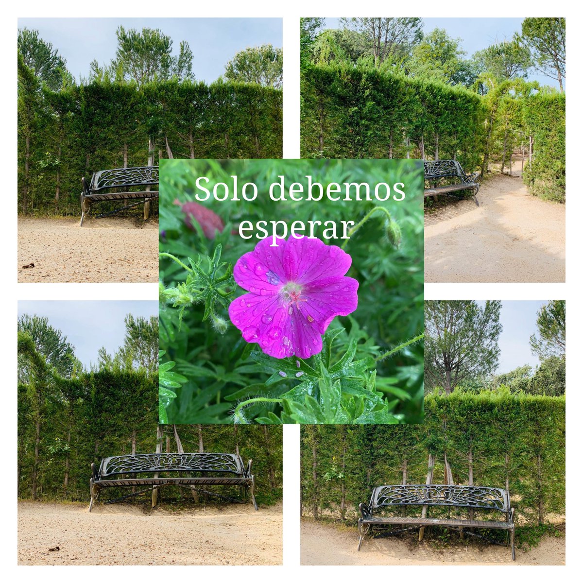 Bosque_madrid's tweet photo. https://t.co/JJALbLQ5QY