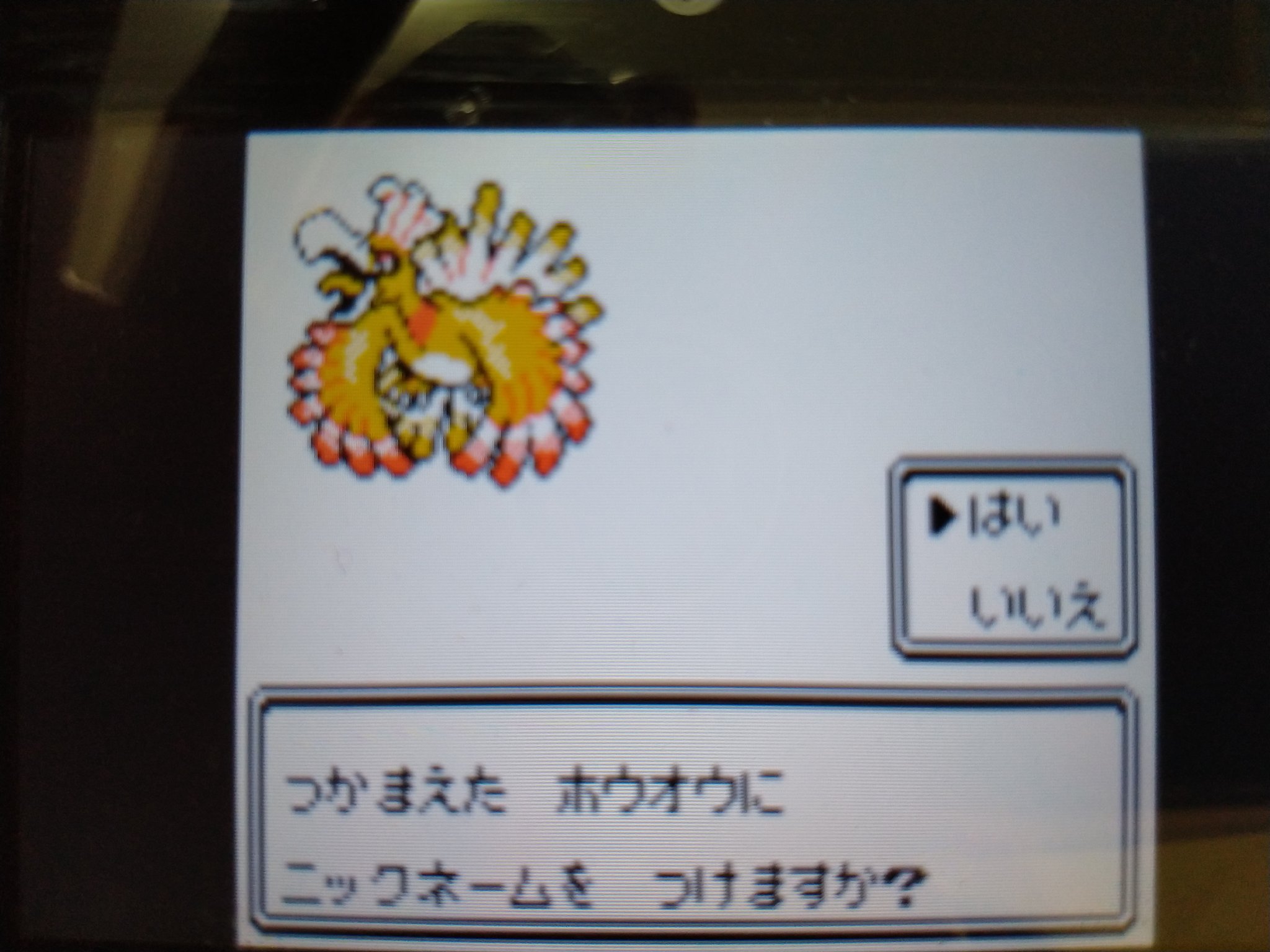 コリー ミルコ にハマり中 最近 ポケモン銀vcで狙っていた 色違い ホウオウが遂に来てくれました リセット回数は約00回だったので かなり早い方でした ポケモン金銀 ホウオウ 色違い T Co Izmcu5m6cn Twitter
