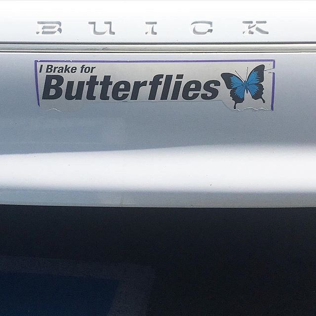 / hey boys 🧟‍♀️

⠀ Please rt this tweet for follow and chitchat with me, caren jennie 

ยพท ลฟตท