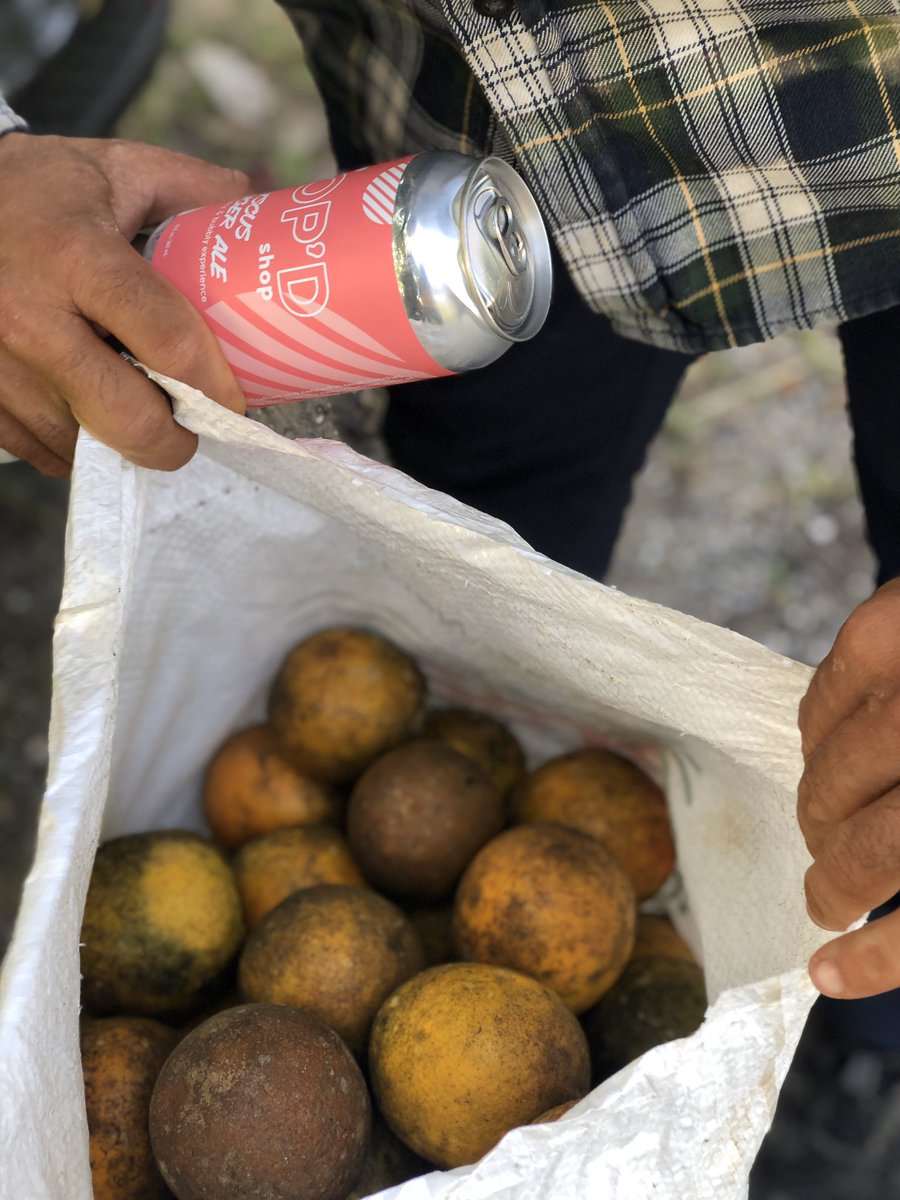 howipop's tweet image. We moved our HQ to Puerto Rico to source our produce from local farmers. Yesterday, we started that. 

#drink #soda #craft #beer #brewery #local #farm #farmtocan #hibiscus #orange