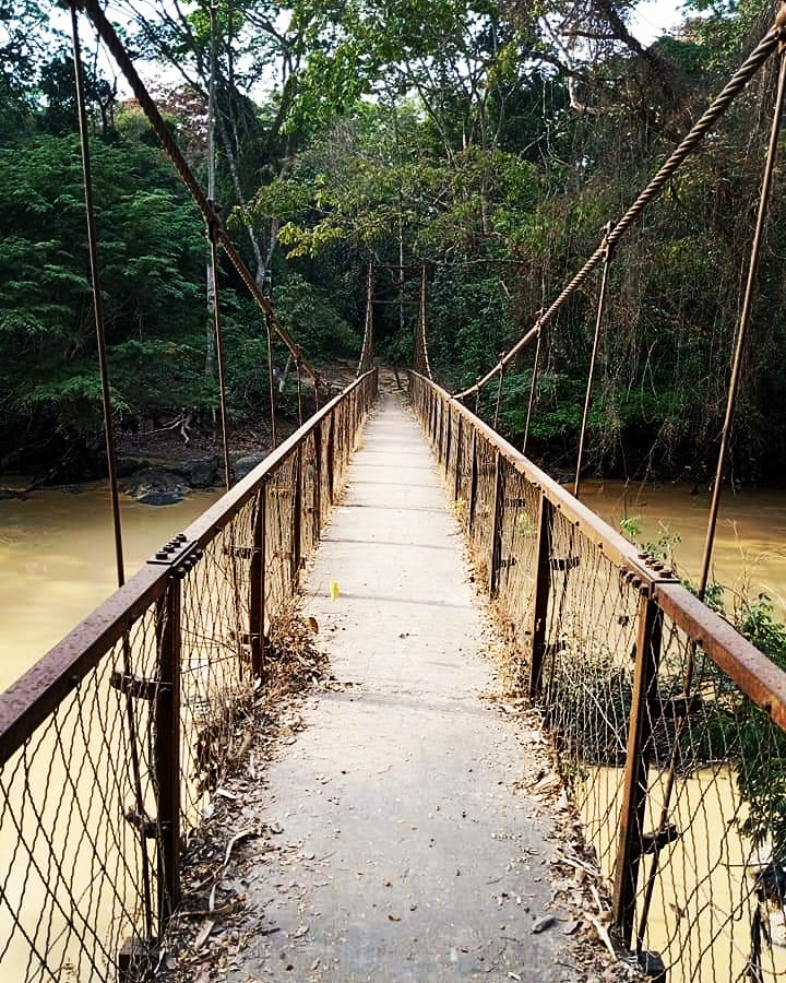 NaijaExplorerss's tweet photo. Abby Keras at the Osun Osogbo Scared Grove &amp; the Amajiji bridge which has been in existence since 1935,the bridge is made of metal 

The grove is an organically evolved cultural landscape that is associated with the Yoruba traditional religion and culture in Osun state of Nigeria https://t.co/hdzSk6MeBN