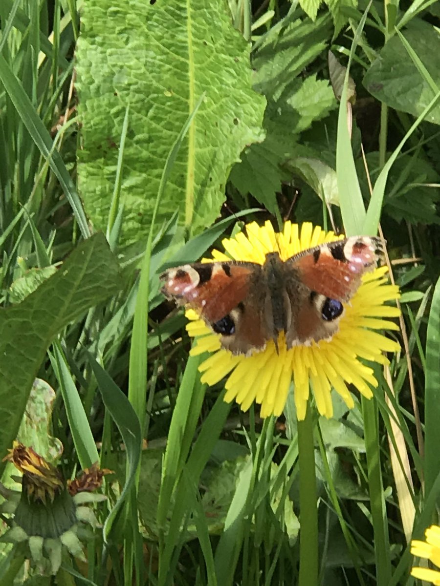 My Community Matters tweet media