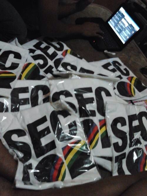 angsapista's tweet image. jadi bikin lagi gak kak? @_SECTOR_