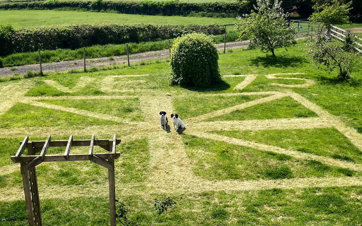 icanrun7_'s tweet photo. Doris &amp; Winston celebrating #VEDay75 with some garden art for the @teamyakovlevs to see when they fly over! 🇬🇧✈️ https://t.co/5wvss0baS3