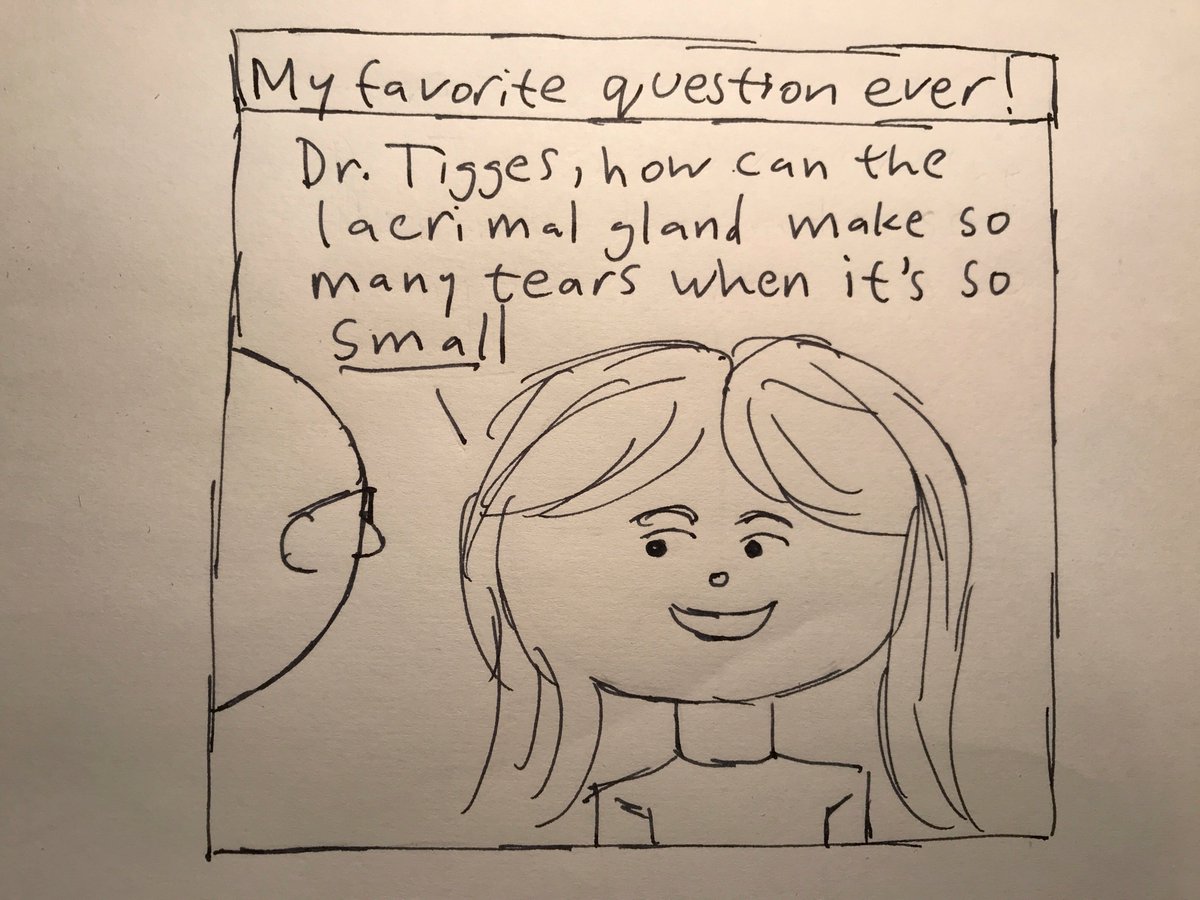 CarolineReedMD's tweet photo. My first tweet as an MD. Such a long way from the girl portrayed in this comic by one of my fabulous mentors, @StefanTigges. So grateful and excited to join the doctors of @emoryhealthcare! https://t.co/oSXiB61XIo