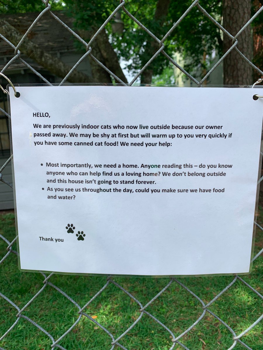 Today, we walked up and this sign was there. And it struck me. For 4 months, a group of random strangers have been feeding these cats. Not just one person, but a collection of random people who have never met each other.