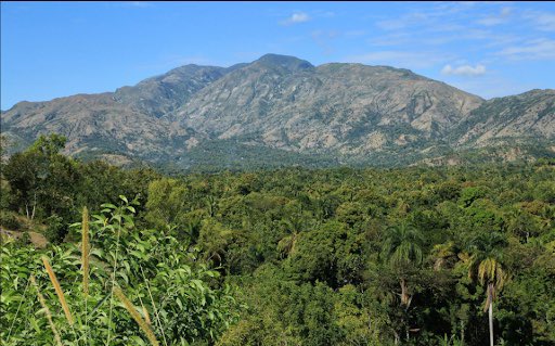 5/8: Did you know Haiti  has the most mountains  out of all the countries in the Caribbean? 2 tallest mountains  are Pik Lasel (highest peak) and Pic Macaya (2nd highest) part of Pic Macaya National Park 