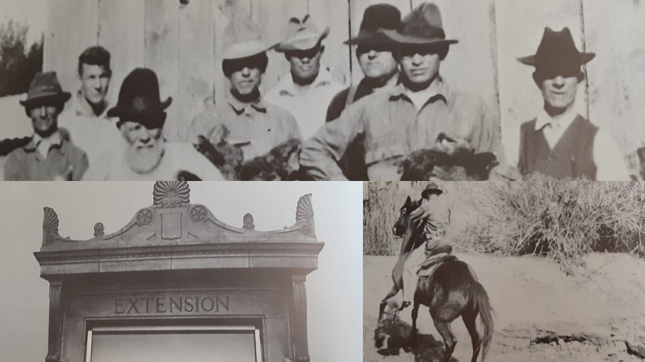 AZExtensionDirector (@azextdirector) on Twitter photo Happy 106th anniversary to Extension - On this day in 1914, Woodrow Wilson signed the Smith-Lever Act, the foundation for a 3rd pillar of the land-grant mission, paving the way for today's <a href="/UAZCoopExt/">UArizona Cooperative Extension</a> @UAAgLifeVetExt @UArizonaCALS <a href="/azfb/">Arizona Farm Bureau</a> <a href="/azleafygreens/">Arizona Leafy Greens</a> <a href="/azagriculture/">Arizona Agriculture #$23BIndustry</a> #smithlever Happy 106th anniversary to Extension - On this day in 1914, Woodrow Wilson signed the Smith-Lever Act, the foundation for a 3rd pillar of the land-grant mission, paving the way for today's <a href="/UAZCoopExt/">UArizona Cooperative Extension</a> @UAAgLifeVetExt @UArizonaCALS <a href="/azfb/">Arizona Farm Bureau</a> <a href="/azleafygreens/">Arizona Leafy Greens</a> <a href="/azagriculture/">Arizona Agriculture #$23BIndustry</a> #smithlever