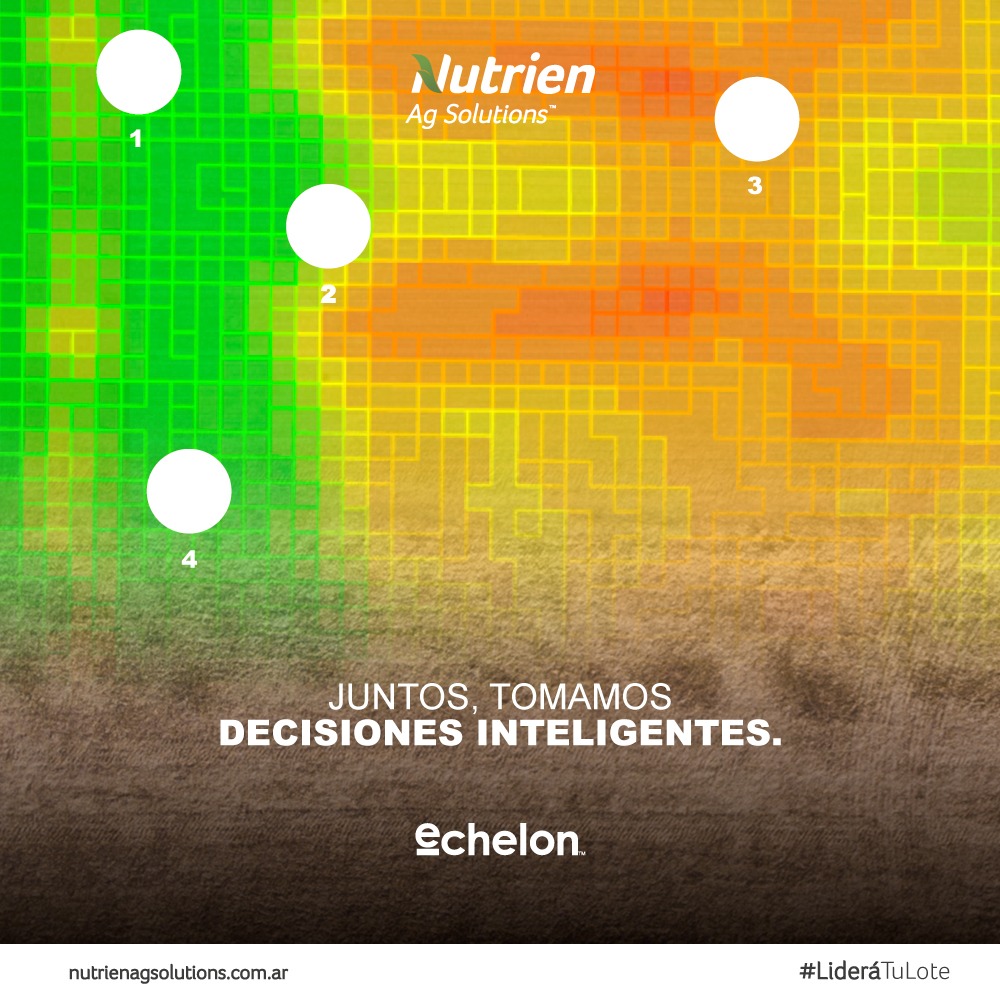 La toma de muestras de suelo es una de las etapas críticas para obtener una recomendación de fertilización. Por eso contamos con nuestra plataforma #Echelon, para que tomes las mejores decisiones.
#LideráTuLote #NutrienAgSolutions #MuestreoDeSuelos pic.x.com/hHkqgyzcVR