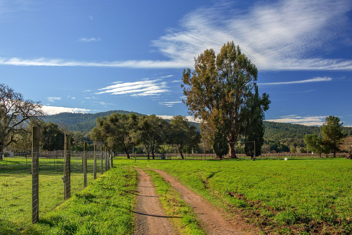 avbc's tweet photo. We found the road to greener pastures, which leads to Northern Cal's best Remote Happy Hour. Join us + special guest #RandyMosher today at 5pm PT, Live on our Facebook page
#craftbeer #craftbrewing #homebrewing #beer #happyhour https://t.co/qQuDJsq9WG