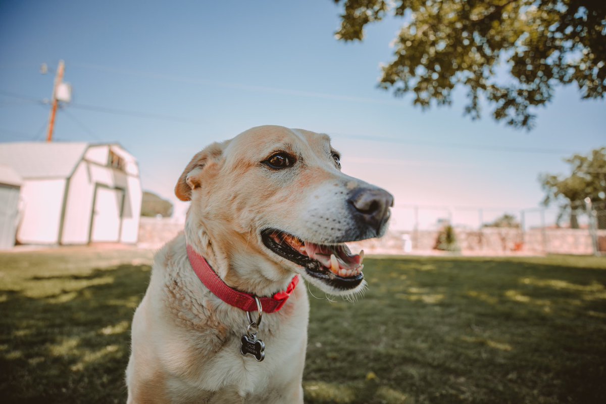 Thought I’d switch up the model today! She’s way cuter than me 😍