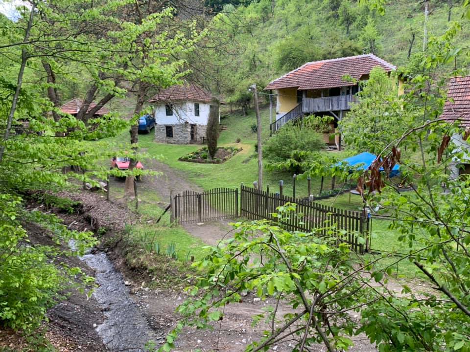 DuleneTurizam's tweet photo. Гомилски поток у горњој мали, село Дулене. Овде настаје река Дуленка, ту се спаја Гомилски и Присојевски поток, ма да се рачуна Гомисли као извор Дуленке #Kragujevac #GledićkePlanine #Dulene https://t.co/bUhM2M3Uny
