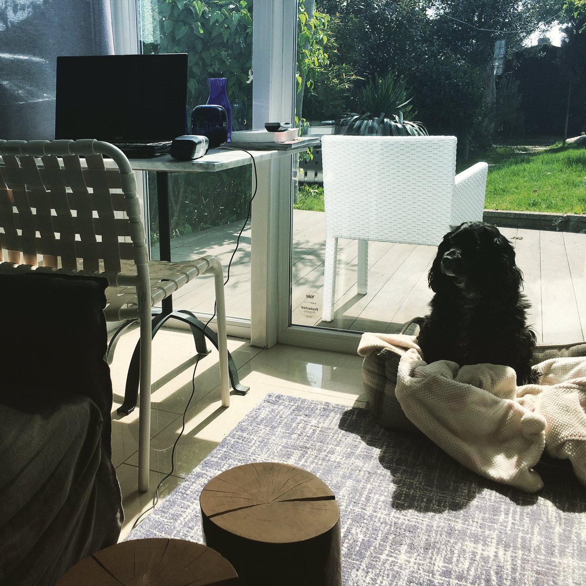 Via Domenico tweet media