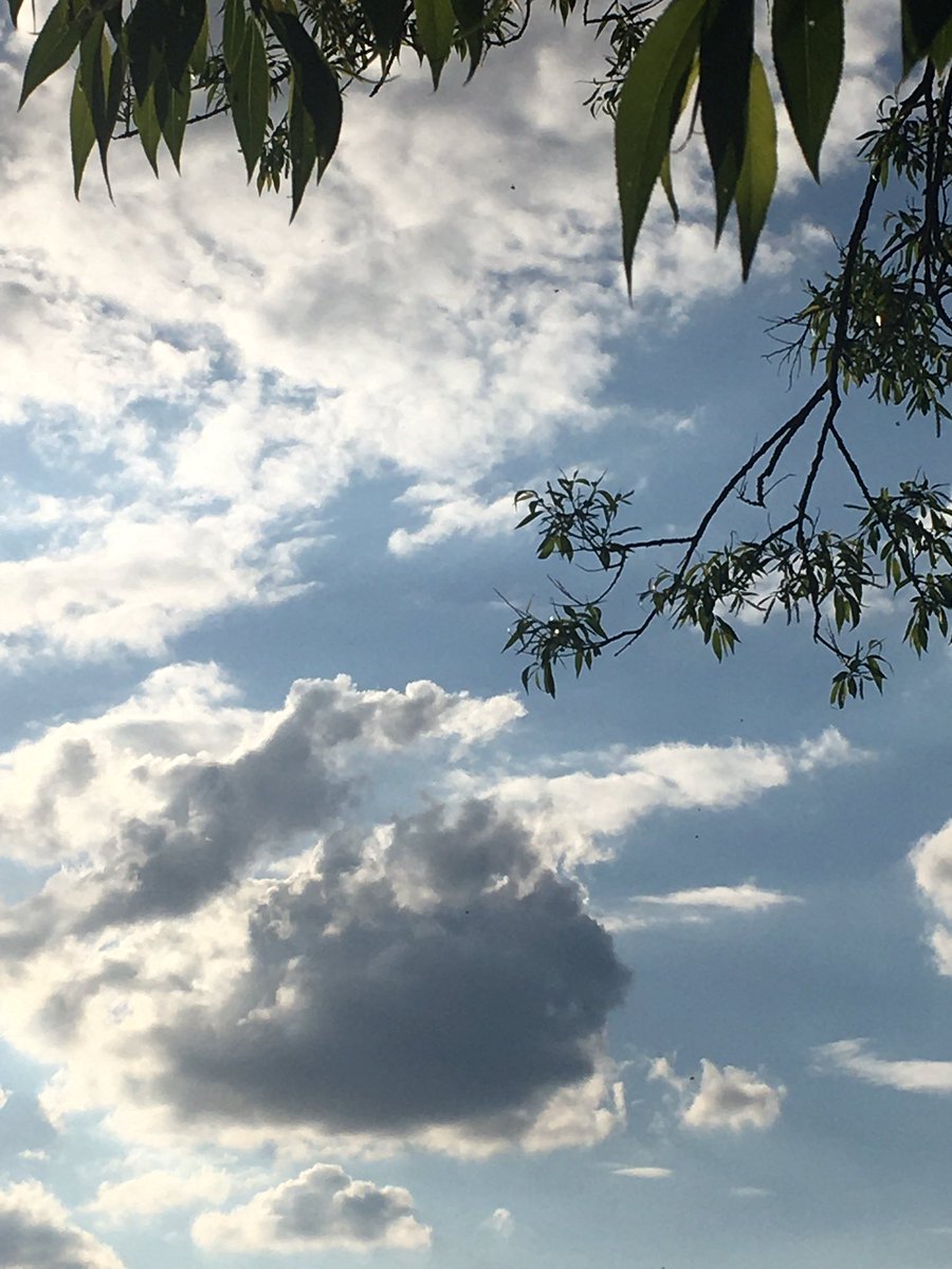 herdwick_gal's tweet photo. #VEDay75 I only have clouds for you today from my daily exercise. #RestrictedMovementOrder I was hoping to see some bunting or flags. #thankyouforyourservice #LestWeForget https://t.co/ojsmYtqqUp