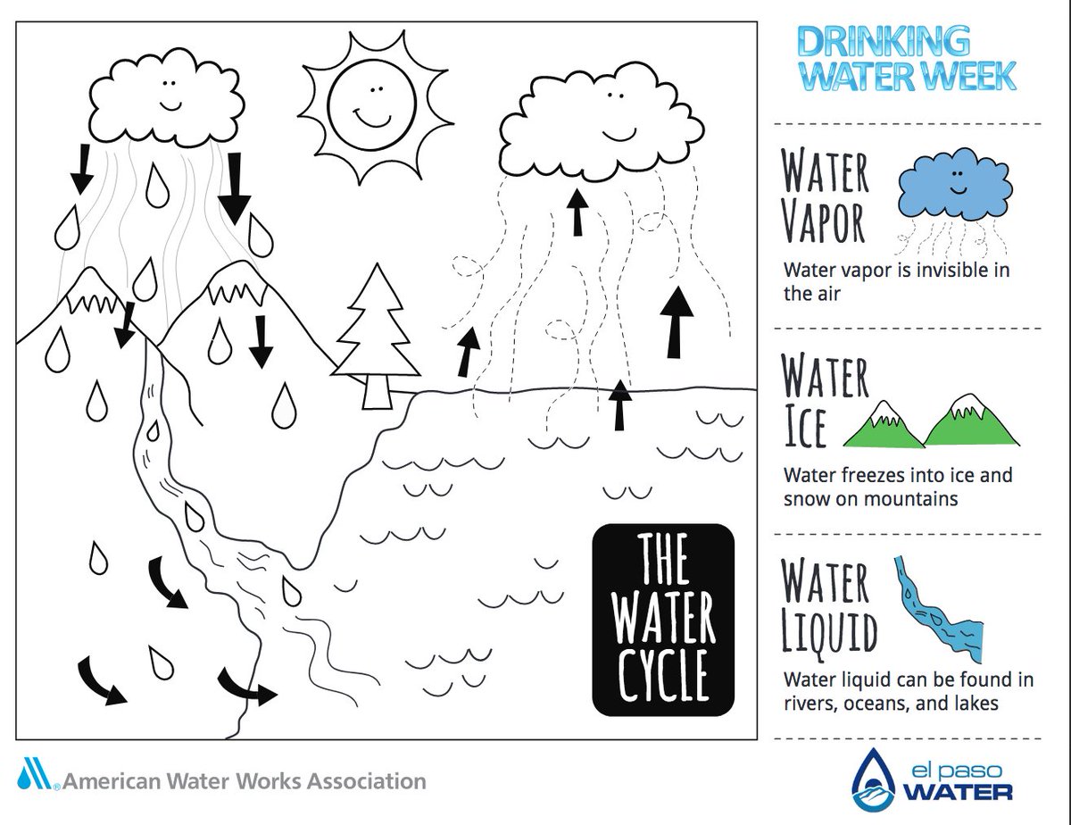 EPWater's tweet photo. Water is amazing! It can turn into a liquid or a gas. We're grateful for the water cycle, especially during Drinking Water Week. Try this activity sheet to learn more: https://t.co/UFmVfvQpOZ #ElPasoWater #TecH2O #DrinkingWaterWeek #WaterCycle #RenewableResource https://t.co/AOWQNWKPH0