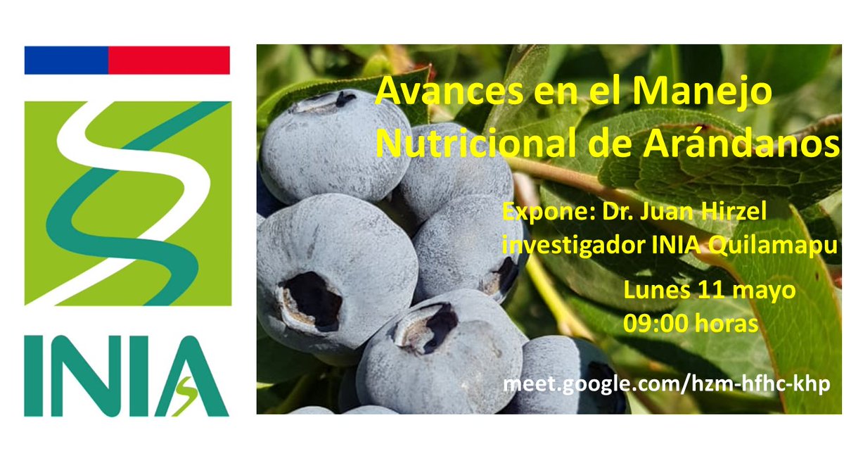 INIAQuilamapu's tweet photo. Con charla "Avances en el Manejo Nutricional de Arándanos" se inicia el lunes 11 mayo, a las 09:00 horas, ciclo de charlas virtuales “Nutrición y Fertilización de Frutales y Cultivos”. Expone investigador @iniachile Juan Hirzel. Link de ingreso: https://t.co/wr5bG4pKO6 https://t.co/dG032thIk4