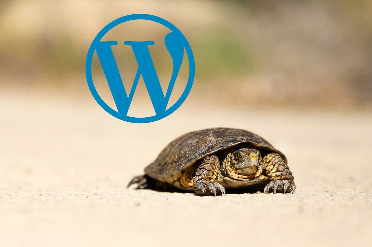 Easy to follow guide to help you improve site speed of your Wordpress site shift8web.ca/2020/05/how-to… #wordpress #wordpresswebsite #wordpressplugin #sitespeed #siteperformance #cdn #shift8cdn #webdeveloper