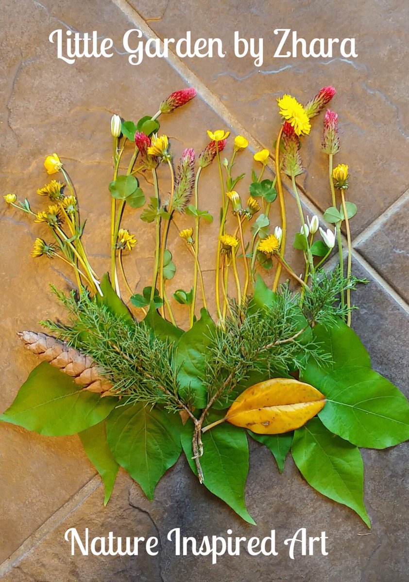 A Little Garden of Creativity Blooms #MPSAtogether #MPSA #ecoart #APSarts #natureart #arteducation #creativekids #mswteachesart