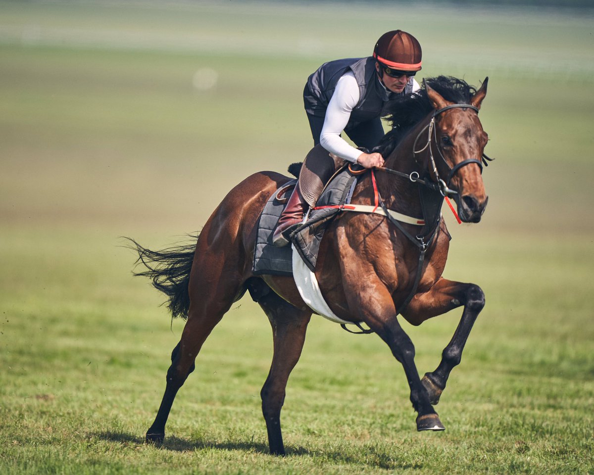 Robert Eddery Racing tweet media