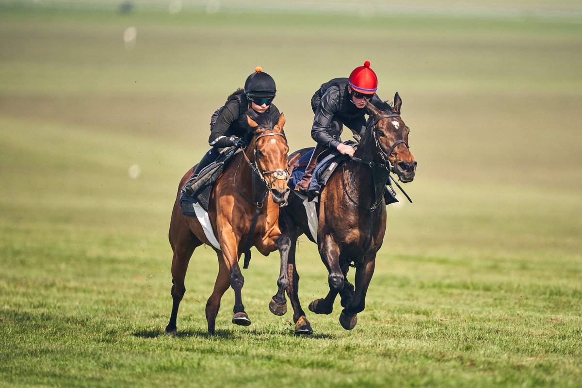 Robert Eddery Racing tweet media