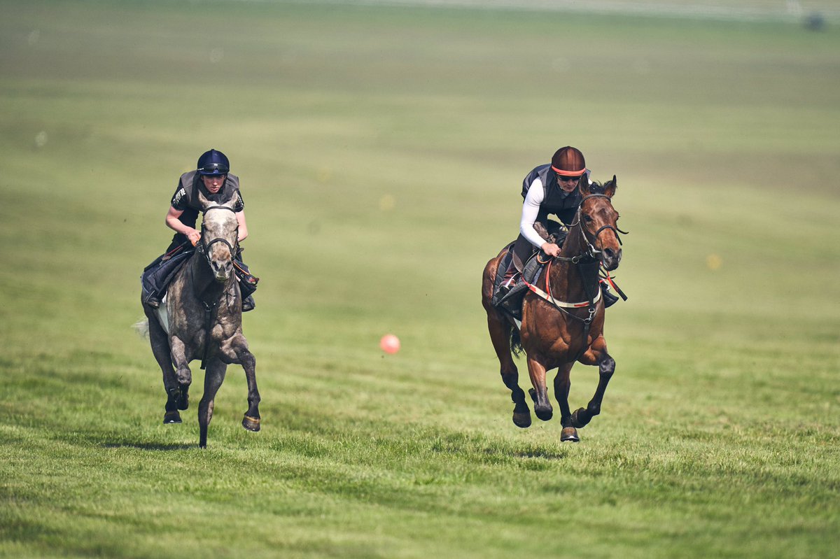 Robert Eddery Racing tweet media
