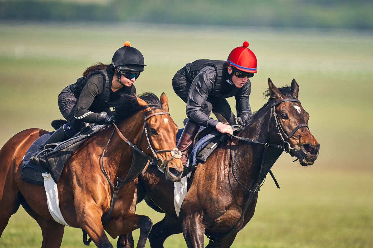 Robert Eddery Racing tweet media