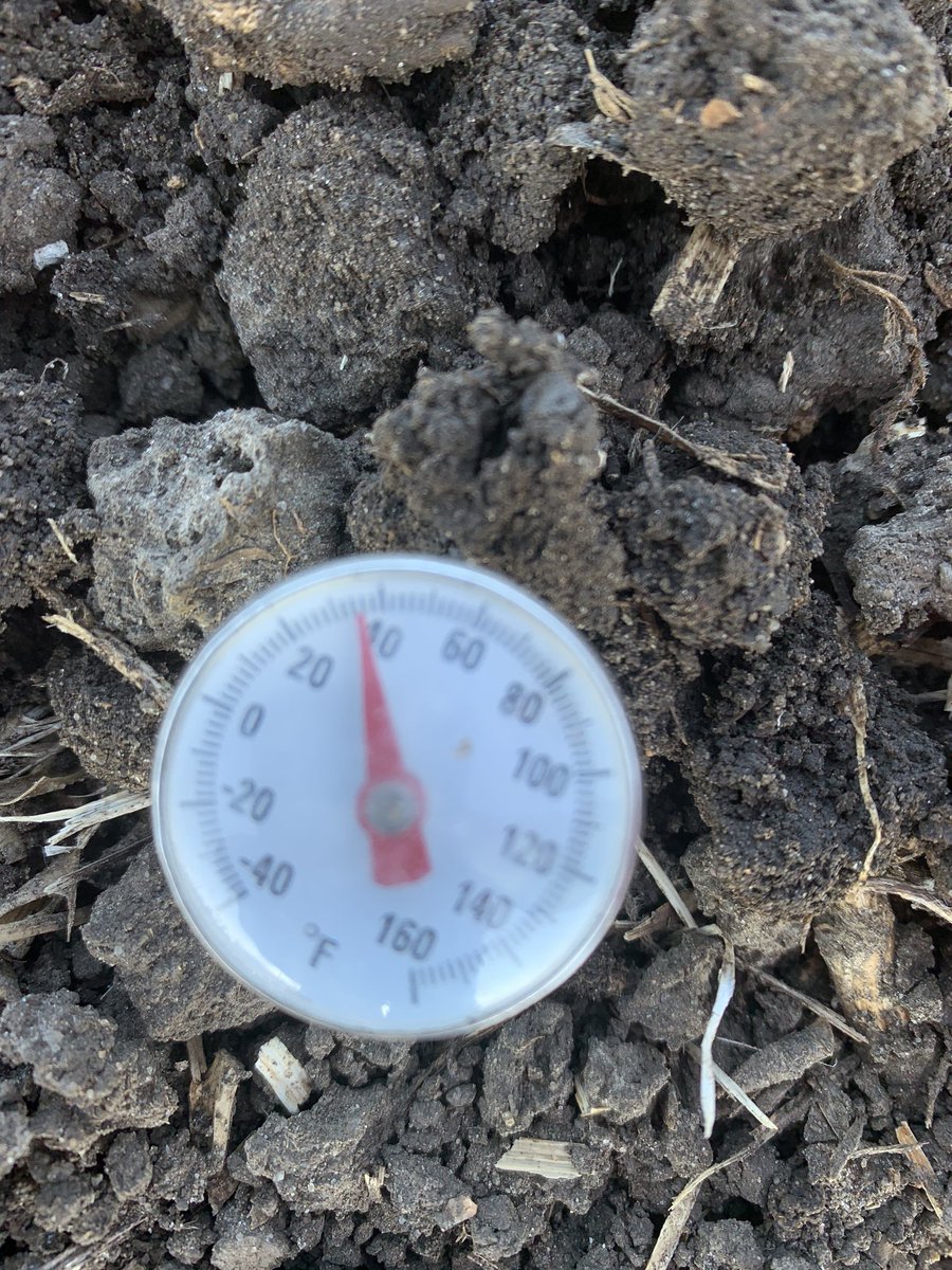 So for anyone thinking about planting corn right now in SE ND. You might want to reconsider.