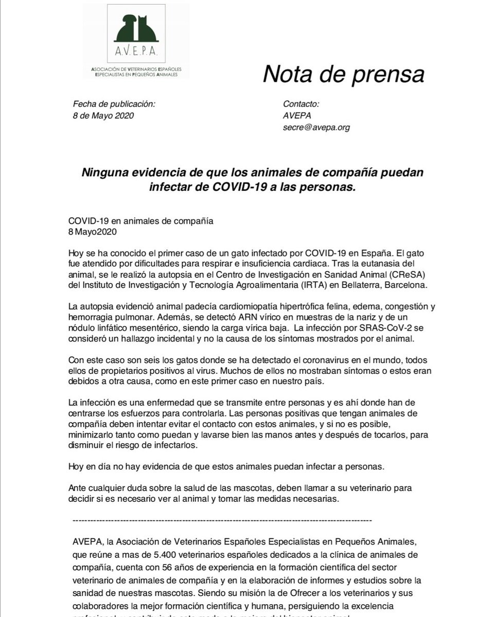 AVEPA_vet's tweet photo. Nota de Prensa de AVEPA en relación al gato diagnosticado con COVID-19 en España. https://t.co/OSc7cxy4sE