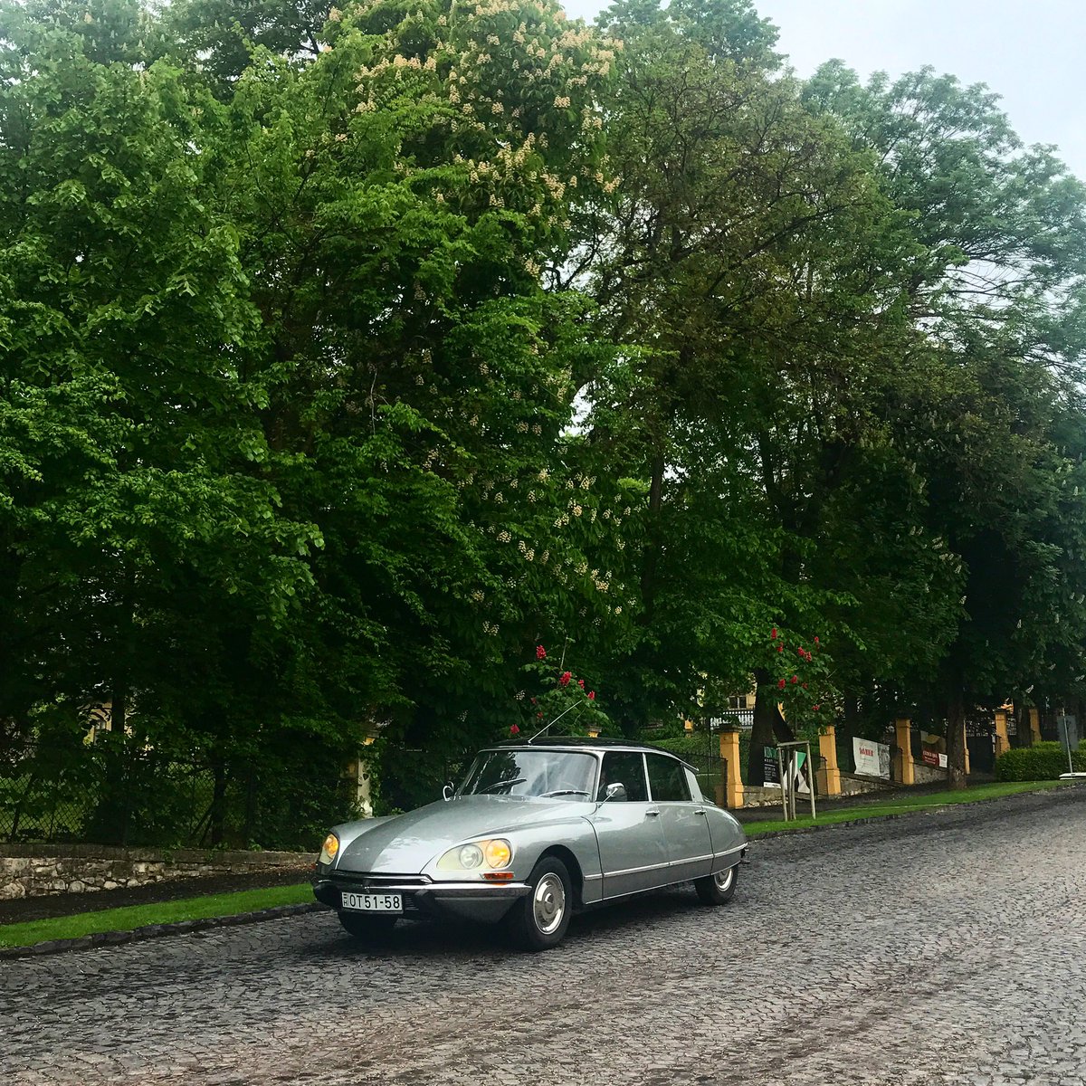 DeadCarWalking's tweet photo. “In pursuit of happiness...drive a Citroën!”
Citroën DS (1969) spotted in Balatonfüred/Hungary.
#Citroen #citroends #deesee #goddess #frenchfriday 
@GeorgeCochrane1 @Rockstarscars @YesterdaysDrive @addict_car @SAID_elMEHDI_ @UnaPatata213 https://t.co/B0a6VekYnC