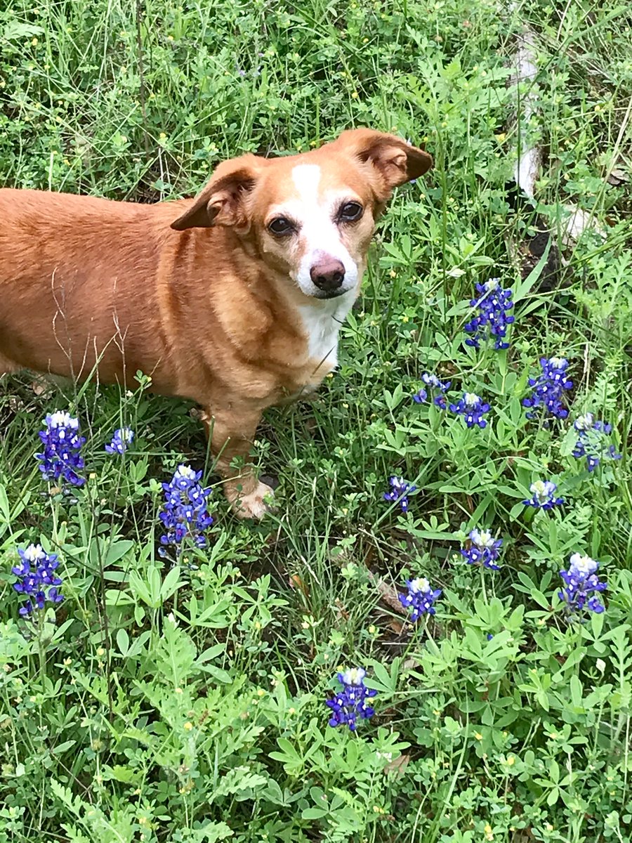 Slide kick while walking the pasture ❤️❤️❤️