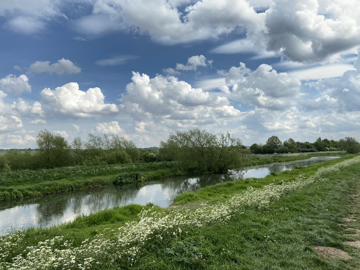 Gemeric_'s tweet photo. ☀️🌿🌸 https://t.co/yozl7ZMvpS