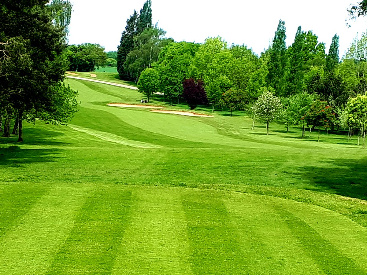 tglowacki2's tweet photo. @AspleyGuiseGolf my course looks absolutely stunning today. Matt and his team 🙌👊 https://t.co/jHZXrkWL1x